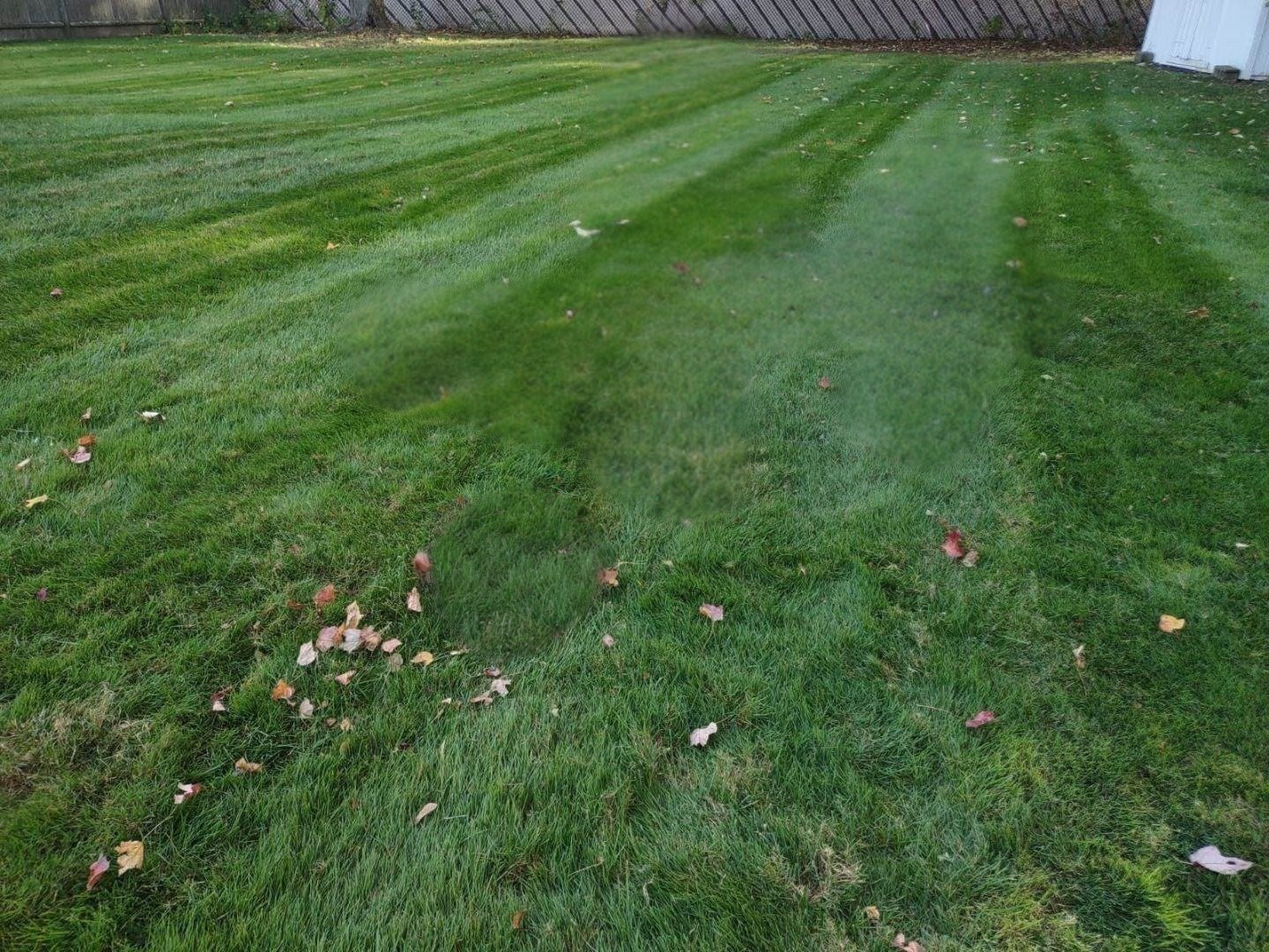 12 Tulane Rd, Danvers, MA 01923 - Image 5