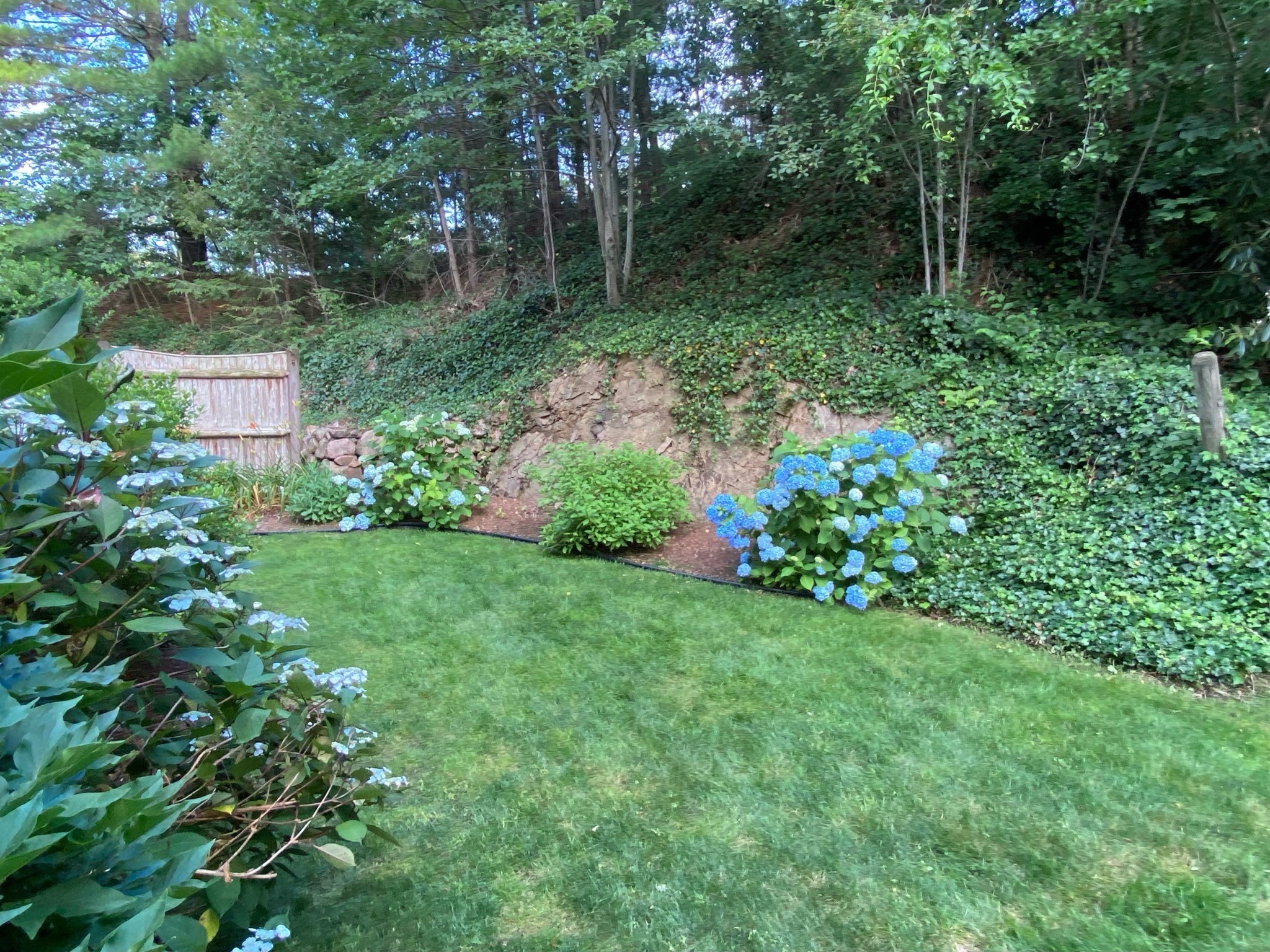 34 Pleasant Street Unit 5, Wellesley, MA 02482 - Image 28