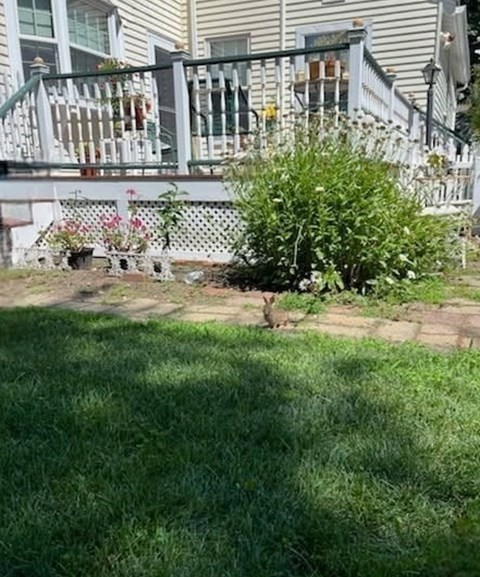 35 Tremont Street, Stoneham, MA 02180 - Image 42