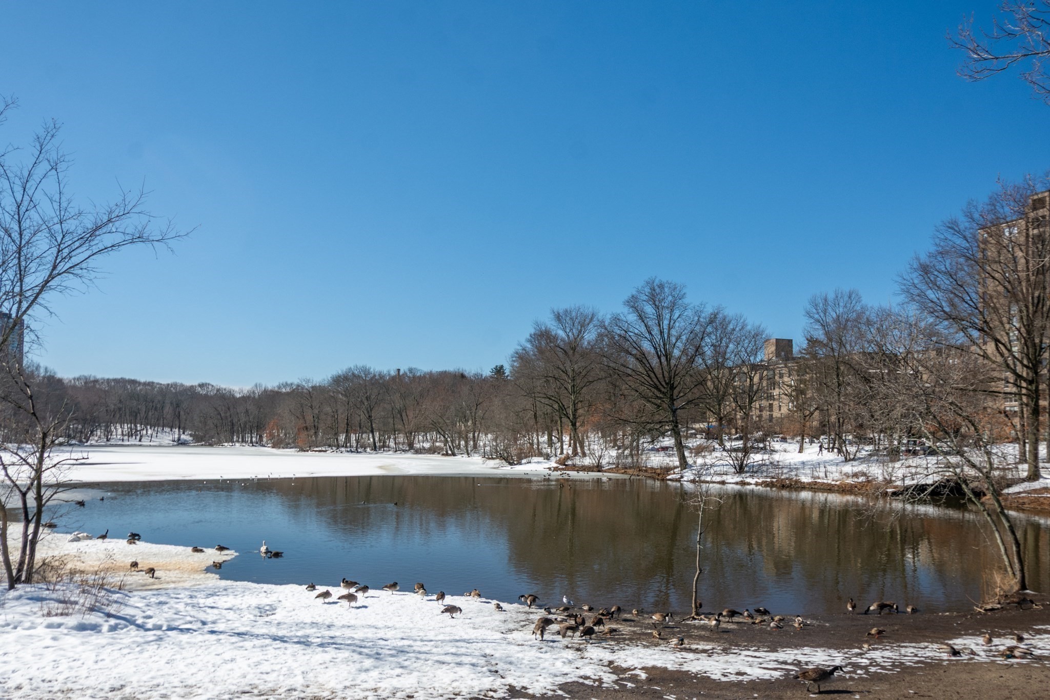 70 Jamaicaway Unit 5, Mission Hill, Boston, MA 02130 - Image 15