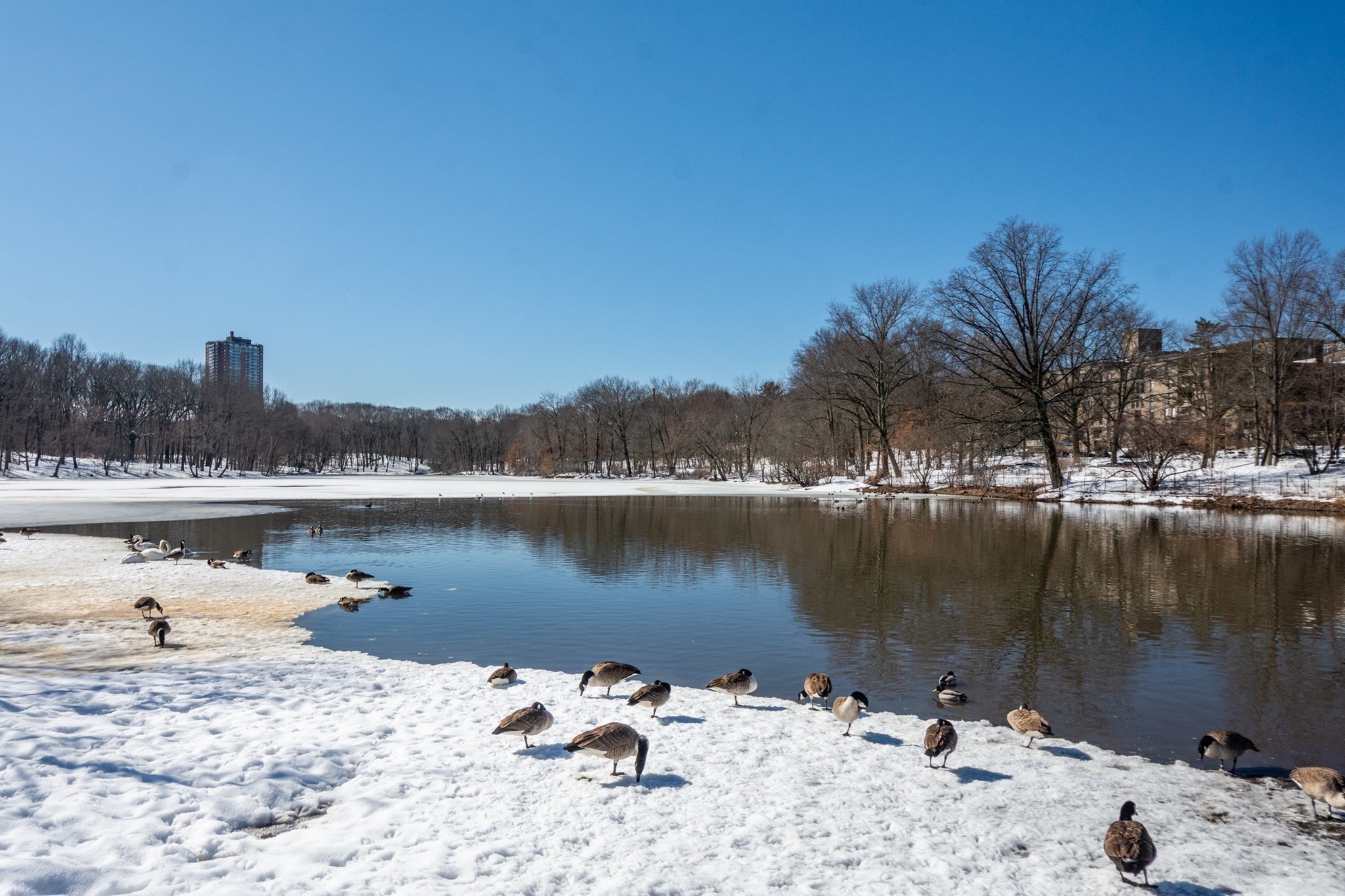 70 Jamaicaway Unit 5, Mission Hill, Boston, MA 02130 - Image 16