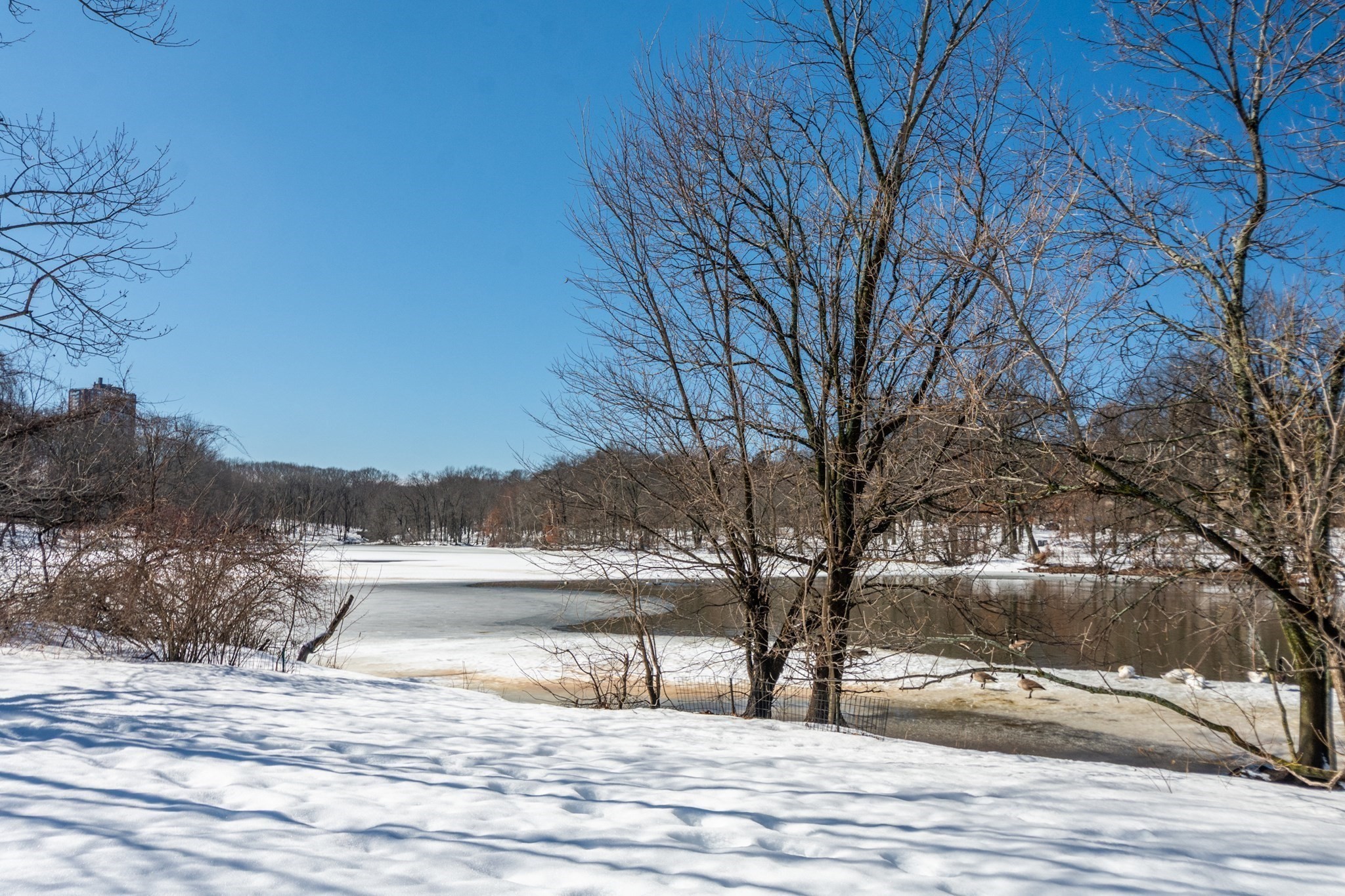 70 Jamaicaway Unit 5, Mission Hill, Boston, MA 02130 - Image 17