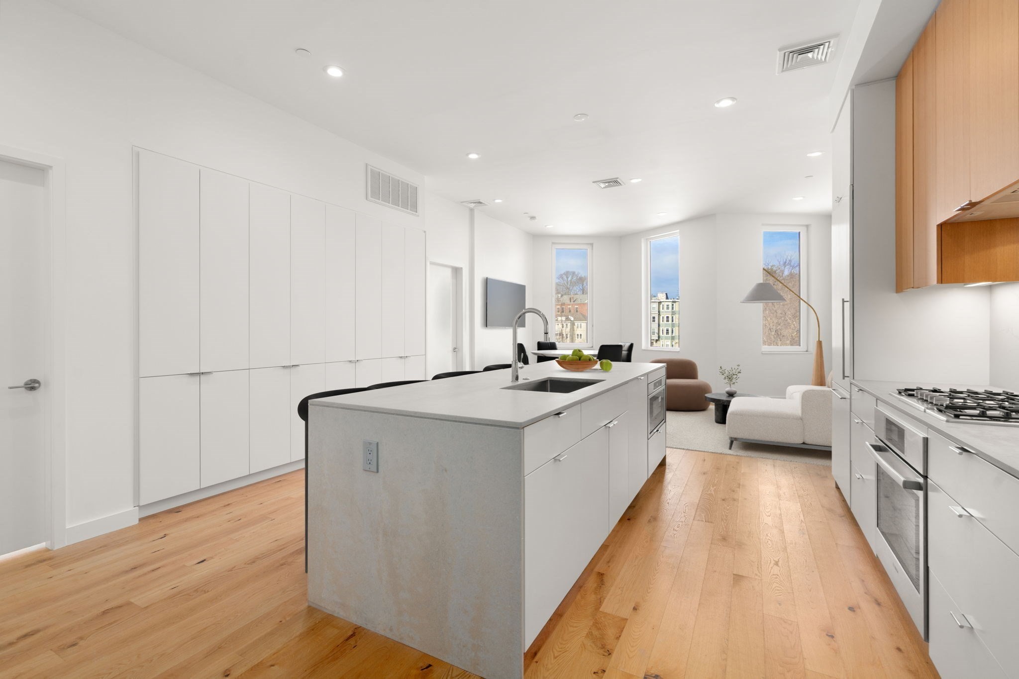 80 Terrace Street Unit 501, Mission Hill, Boston, MA 02120 - Image 7