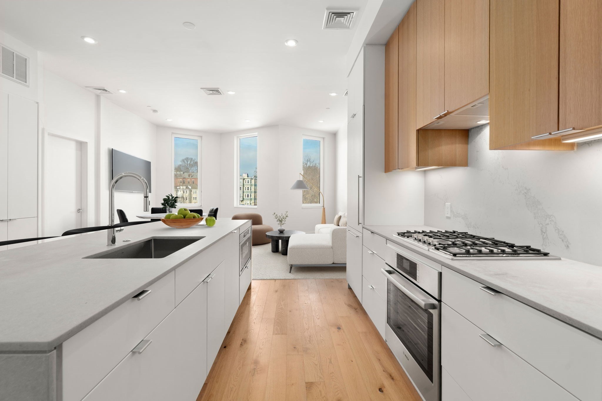 80 Terrace Street Unit 501, Mission Hill, Boston, MA 02120 - Image 8