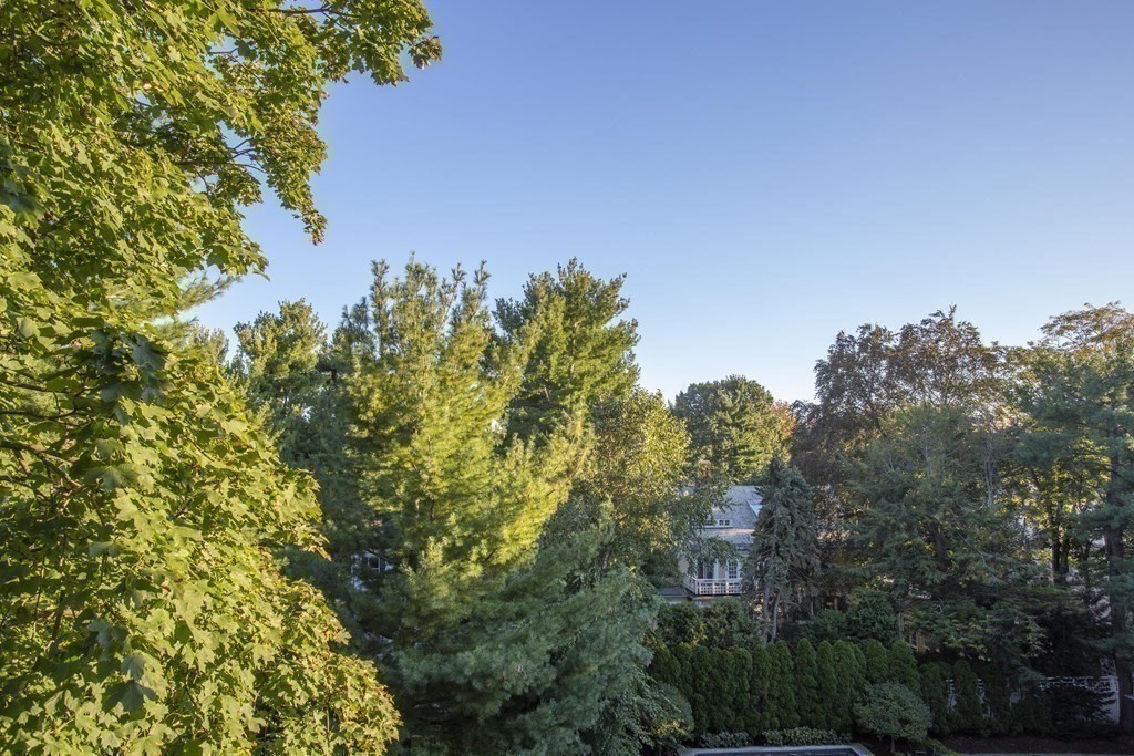 16 Chauncy Unit 53, Cambridge, MA 02138 - Image 21