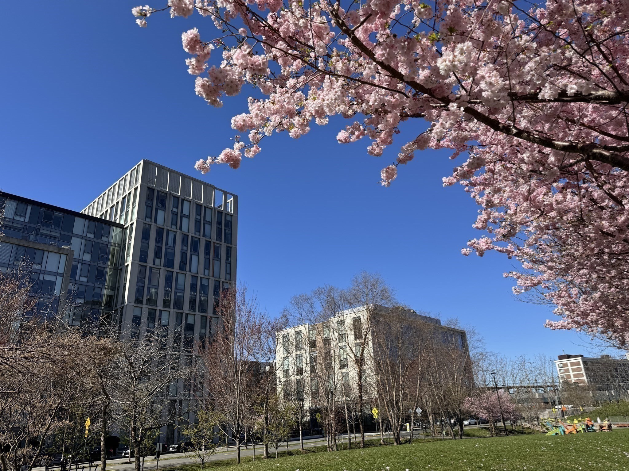 2 Earhart Street Unit 904, Cambridge, MA 02141 - Image 29