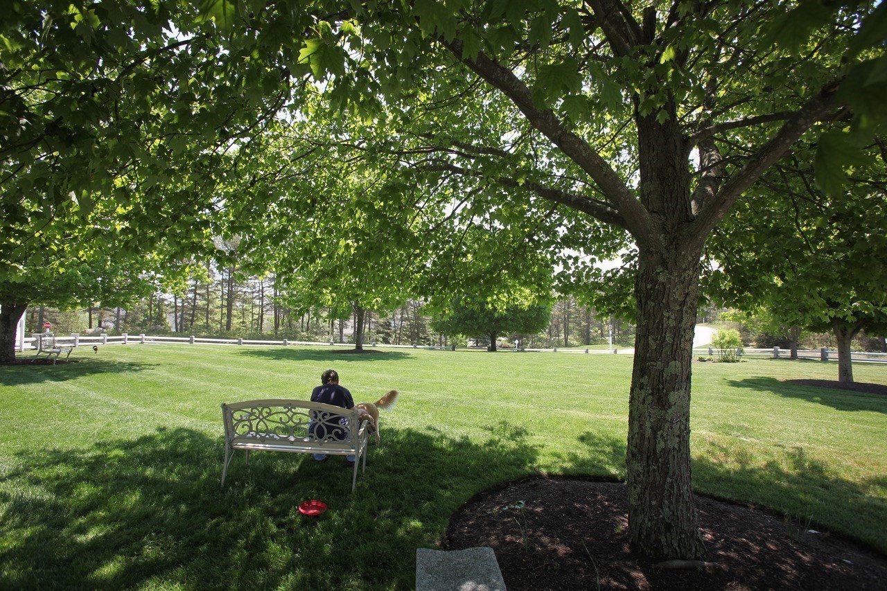 16 Butten Mews Unit 16, Plymouth, MA 02360 - Image 39