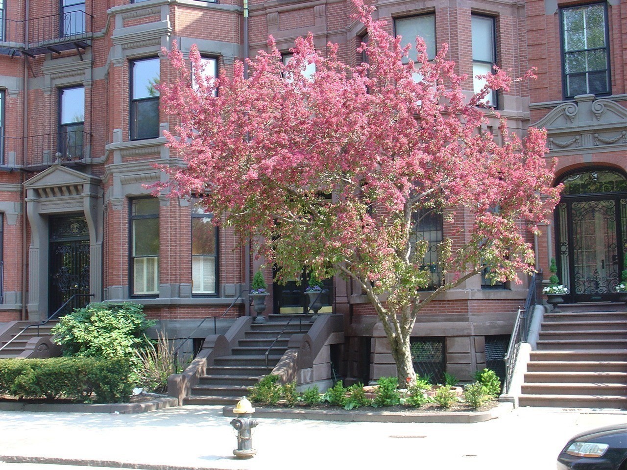 298 Commonwealth Ave Unit 202, Back Bay, Boston, MA 02116 - Image 15