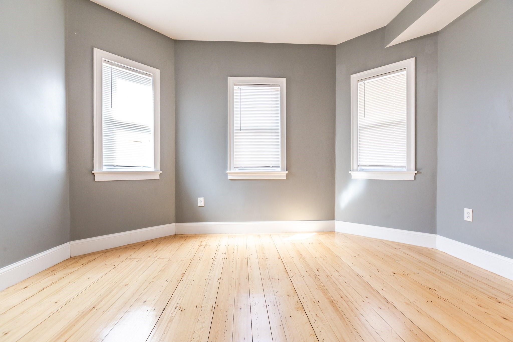 4 Hopestill St, Dorchester, Boston, MA 02124 - Image 6