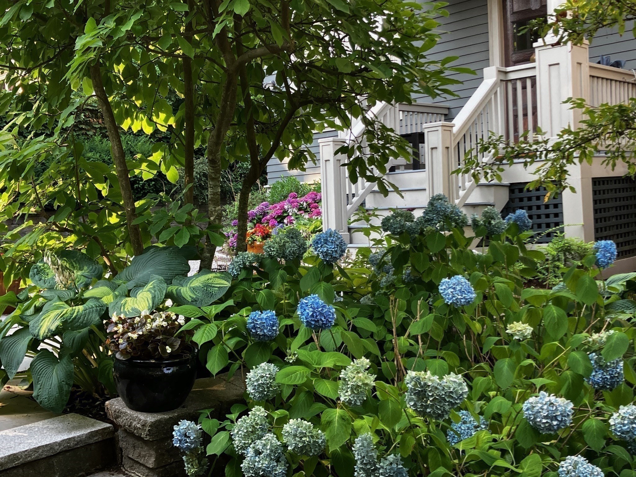 80 Upland Rd Unit B, Cambridge, MA 02140 - Image 27