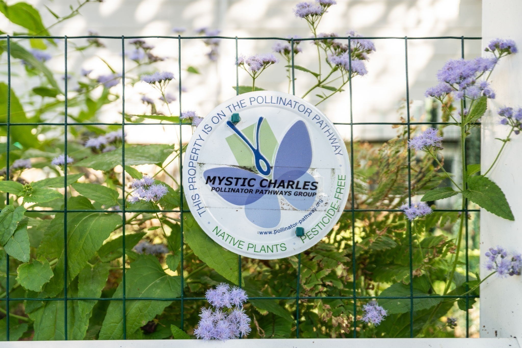 126 Harvey St Unit 2, Cambridge, MA 02140 - Image 19