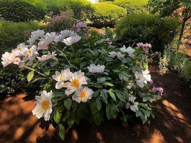 15 Cass Street Unit 3, West Roxbury, Boston, MA 02132 - Image 19