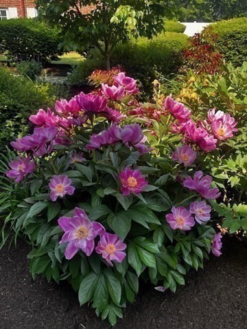 15 Cass Street Unit 3, West Roxbury, Boston, MA 02132 - Image 20