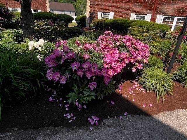 15 Cass Street Unit 3, West Roxbury, Boston, MA 02132 - Image 21