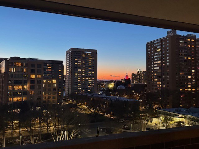 2 Hawthorne Pl Unit 8C, West End, Boston, MA 02114 - Image 13