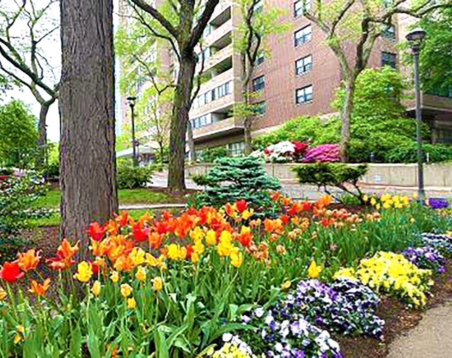 2 Hawthorne Pl Unit 8C, West End, Boston, MA 02114 - Image 18