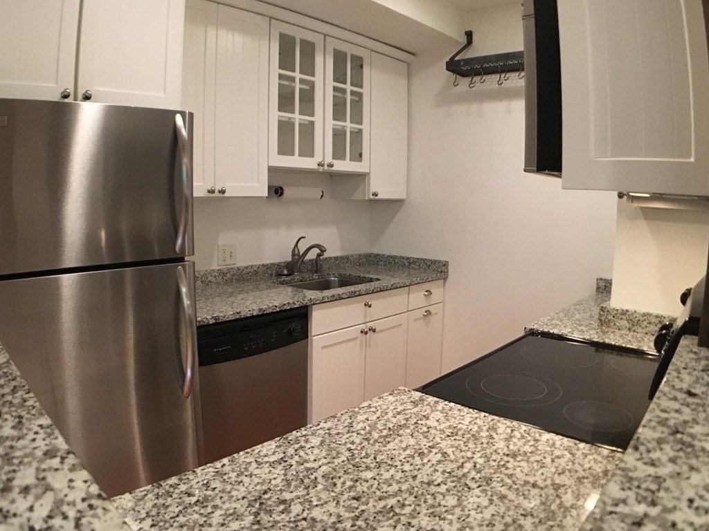 245 W Newton St Unit 2, Back Bay, Boston, MA 02116 - Image 15