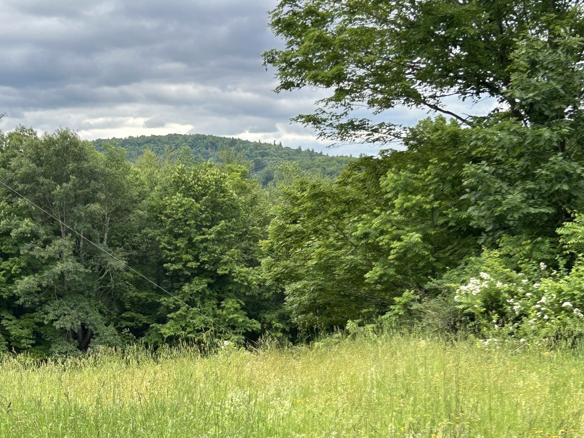 0 Bear River Rd, Ashfield, MA 01330