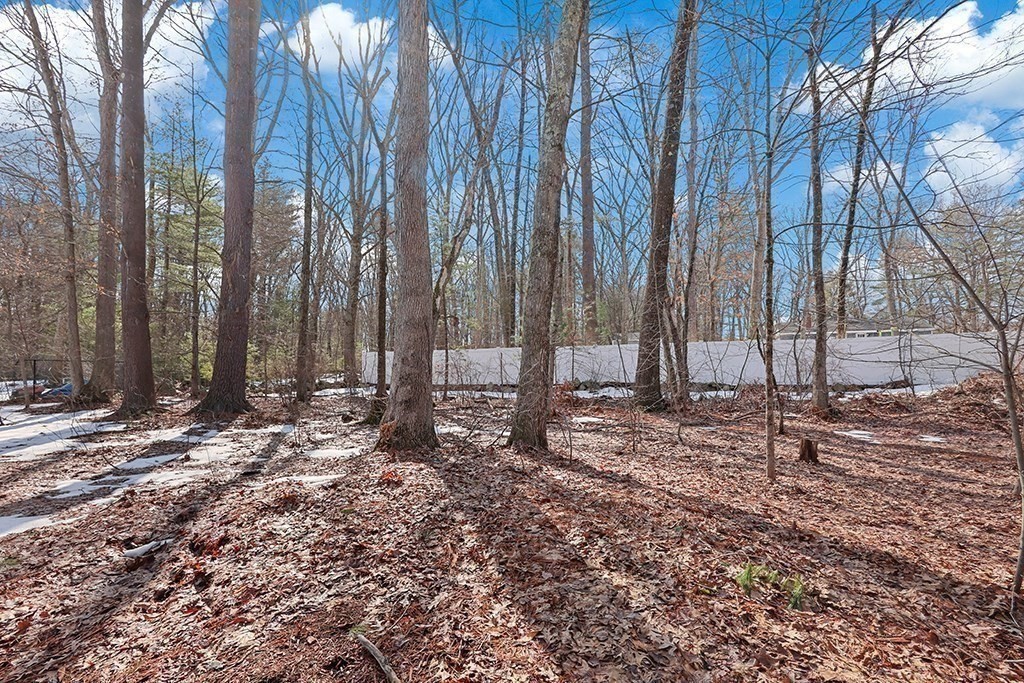 16 Bayberry Ln, Framingham, MA 01701 - Image 28