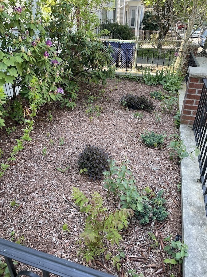 9 Dartmouth St, Somerville, MA 02145 - Image 35