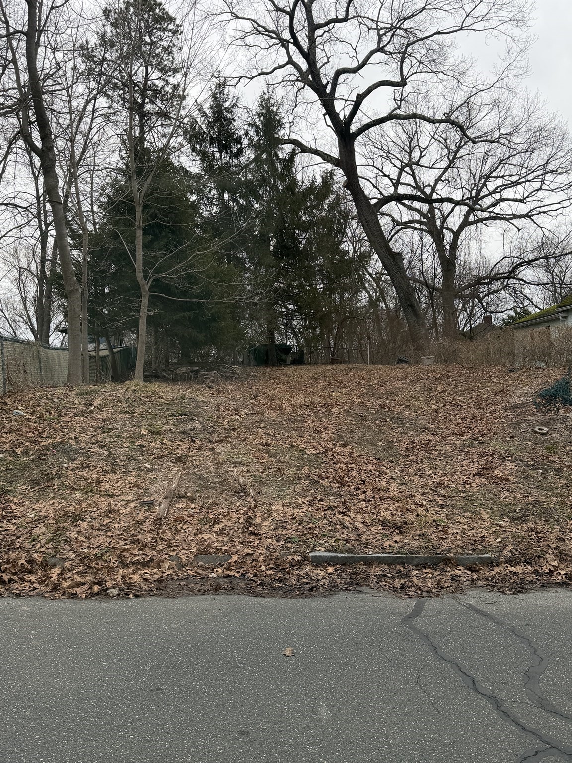 0 Laurelton St (es), Springfield, MA 01101