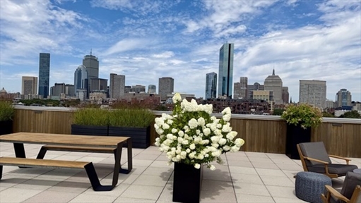 23 Bradford St, Apt 201