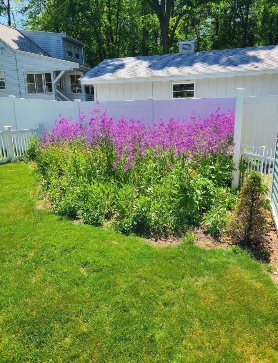 97 Hartwell Rd, Bedford, MA 01730 - Image 39
