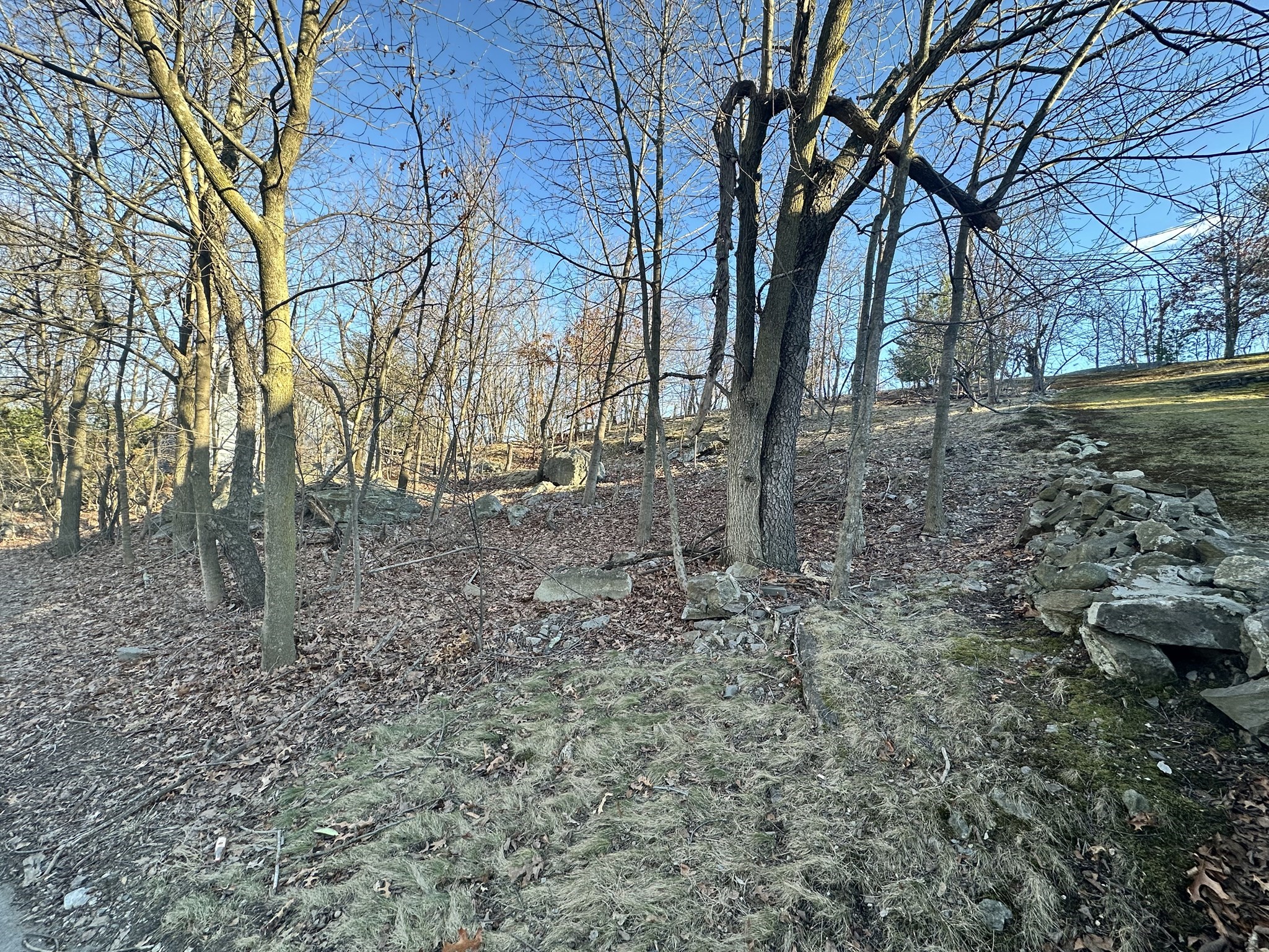 0 Vfw Parkway, West Roxbury, Boston, MA 02132