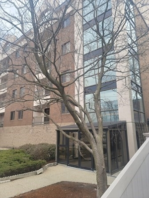 24 Corey St, Apt 201
