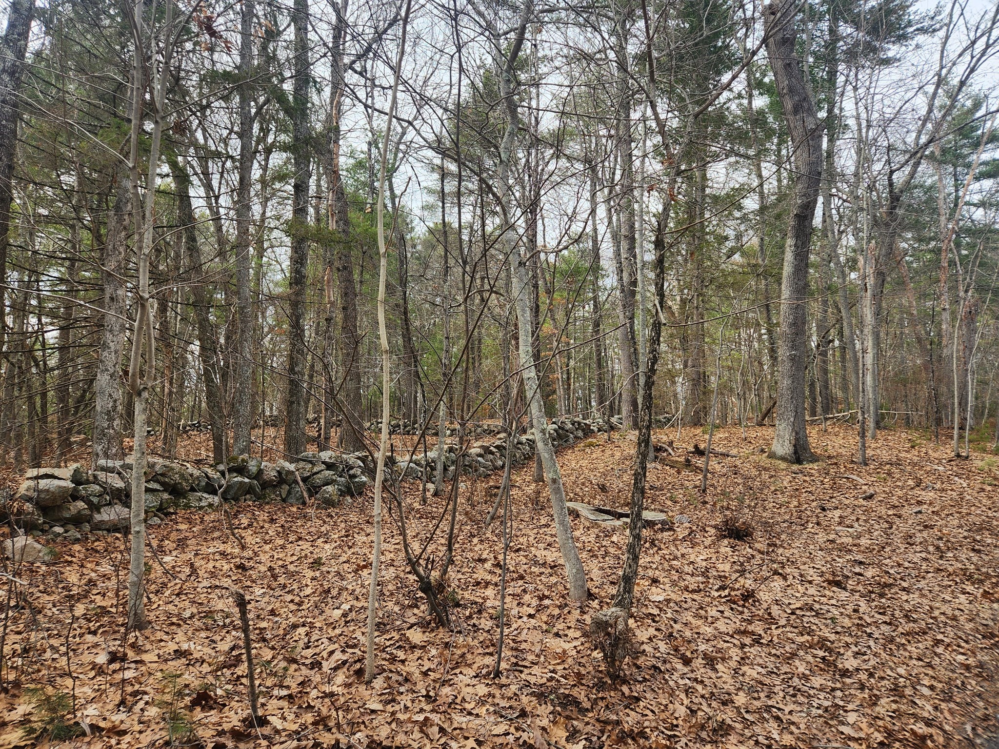 147 Washington Street Lot 2, Sherborn, MA 01770