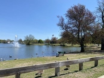 154 Tracy Ave, Lynn, MA 01902 - Image 5