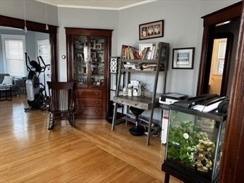 154 Tracy Ave, Lynn, MA 01902 - Image 7