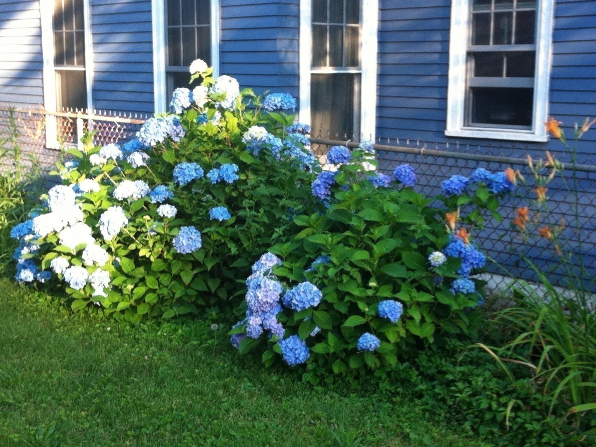 23 Germain St, Worcester, MA 01602 - Image 38