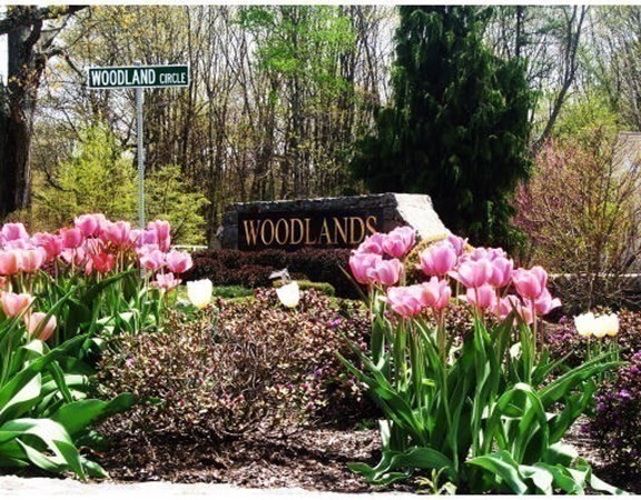 2311 Briarwood Vlg Unit 2311, Clinton, MA 01510