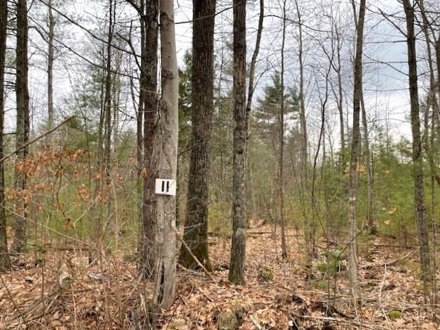 11 New Athol Rd, Petersham, MA 01366