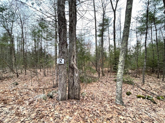 12 New Athol Rd, Petersham, MA 01366