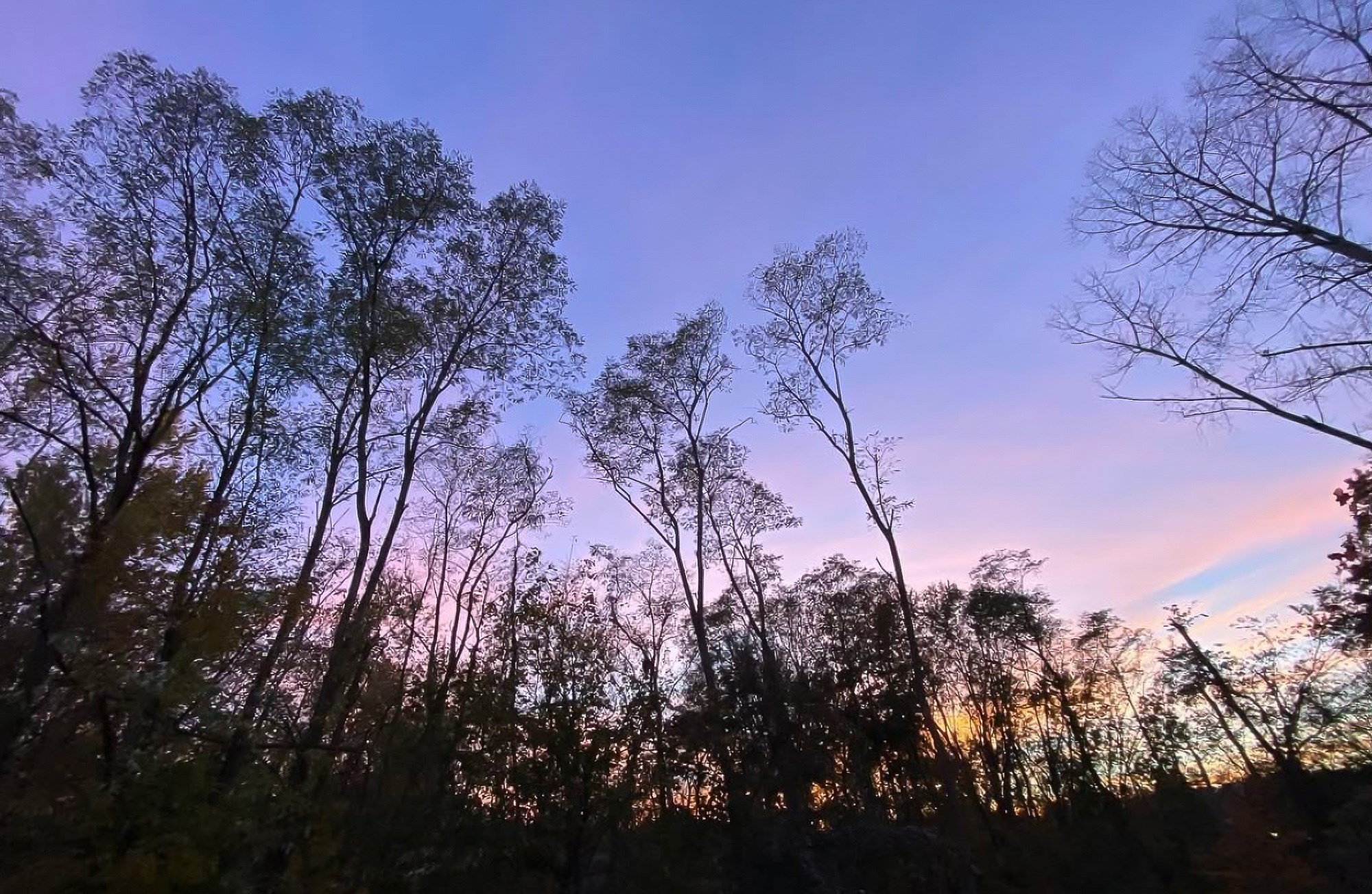 23 Randolph Pl Unit 204, Northampton, MA 01060