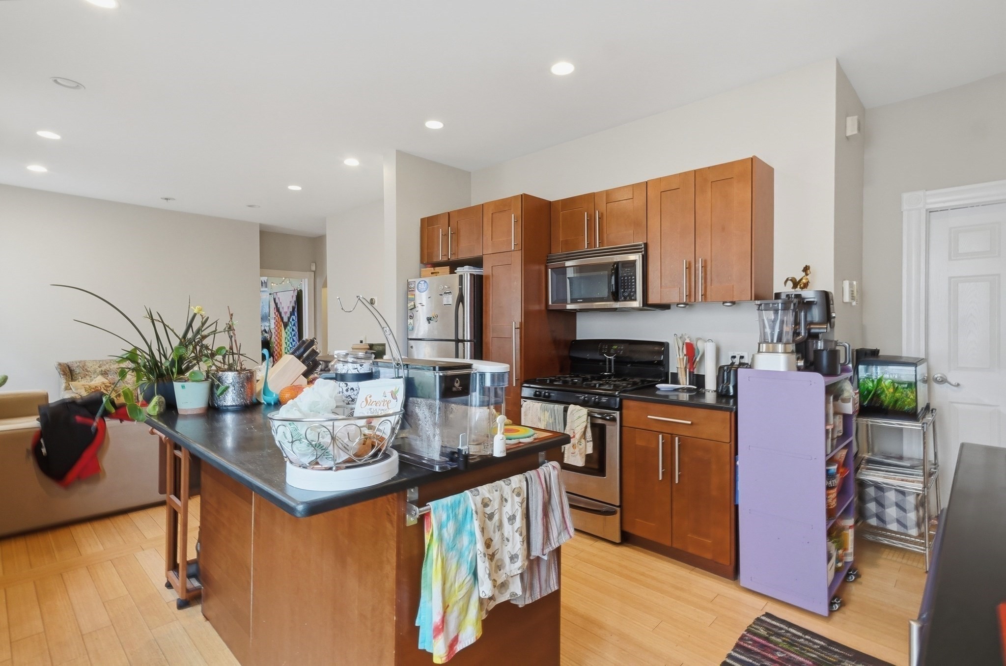 26 Chestnut Ave Unit 1, Jamaica Plain, Boston, MA 02130 - Image 5