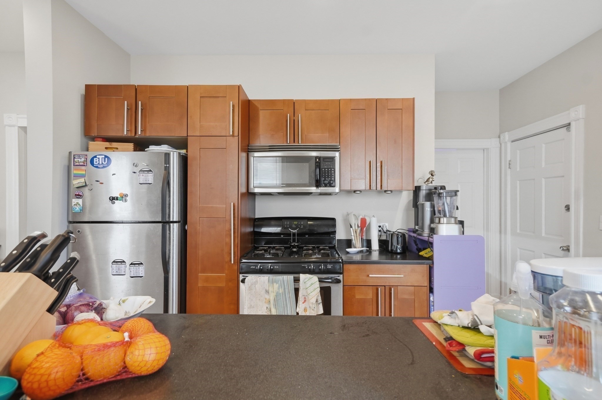 26 Chestnut Ave Unit 1, Jamaica Plain, Boston, MA 02130 - Image 6
