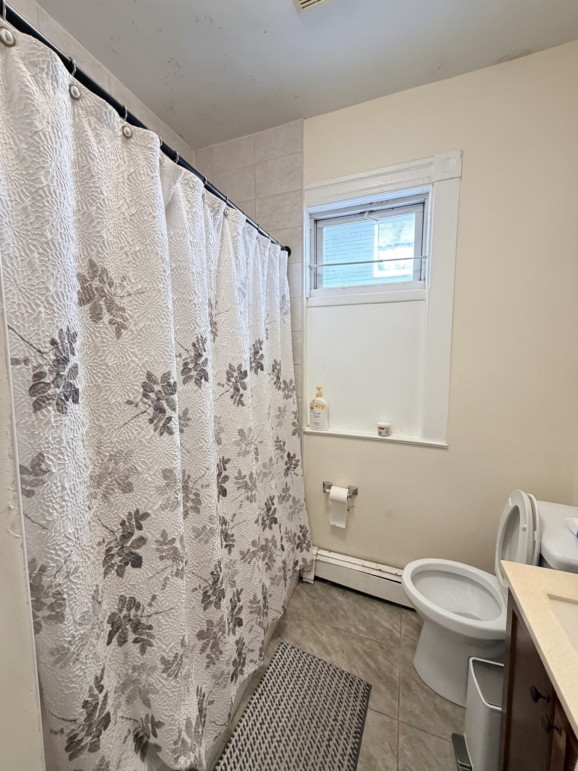 19 Clementine Park, Dorchester, Boston, MA 02124 - Image 15