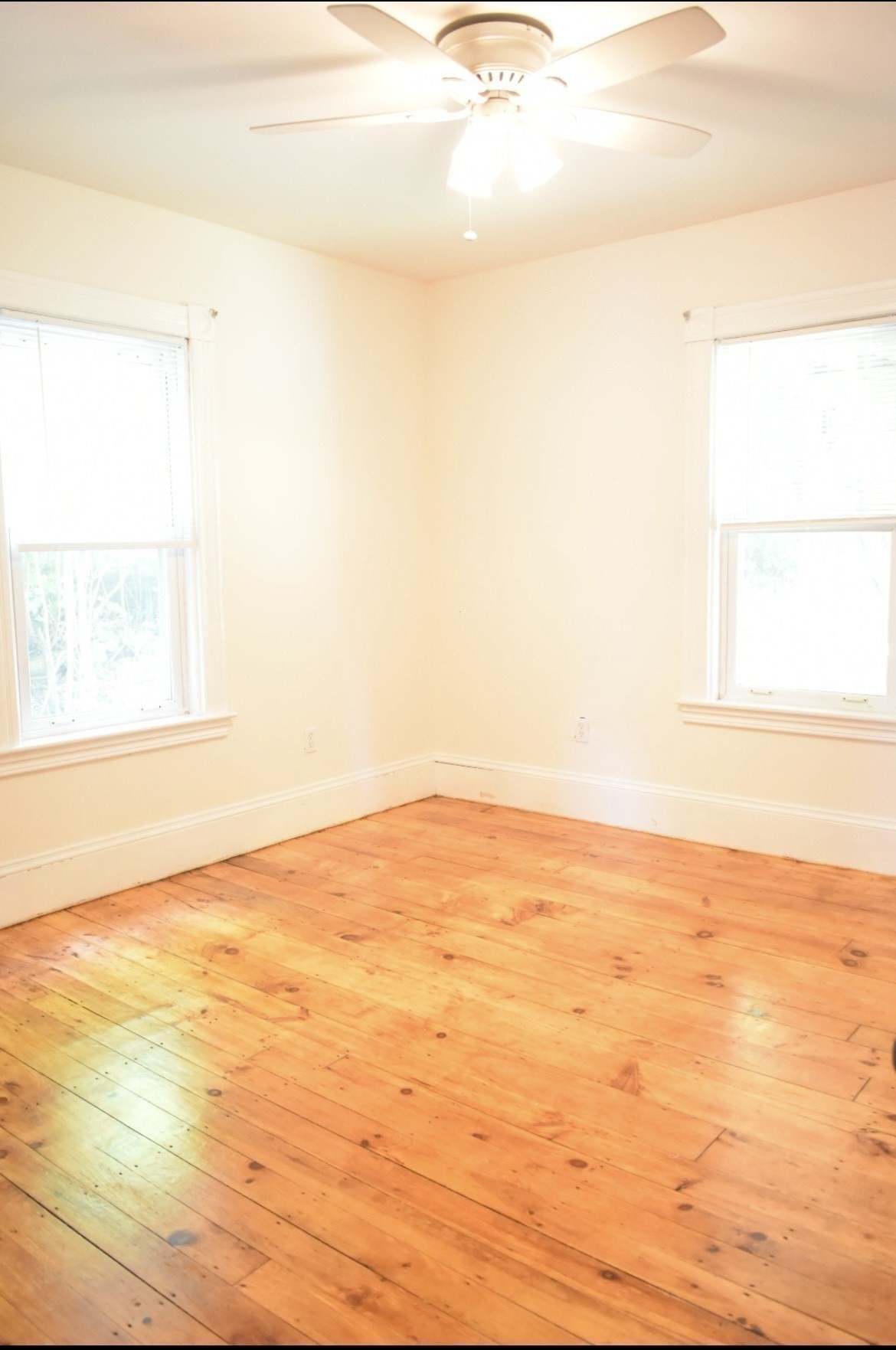 338 Blossom Street, Fitchburg, MA 01420 - Image 11