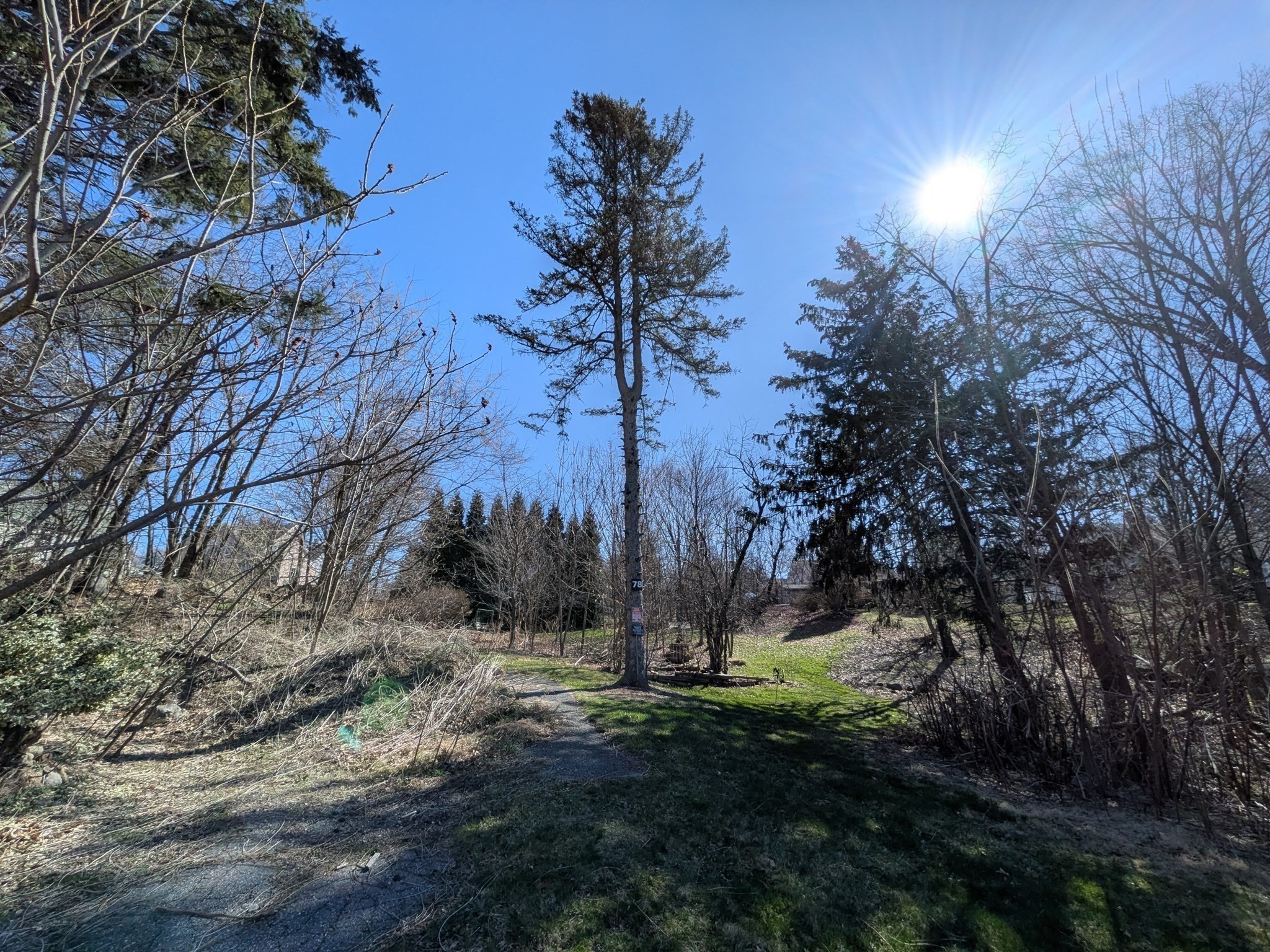 78 Leeds St, Worcester, MA 01606