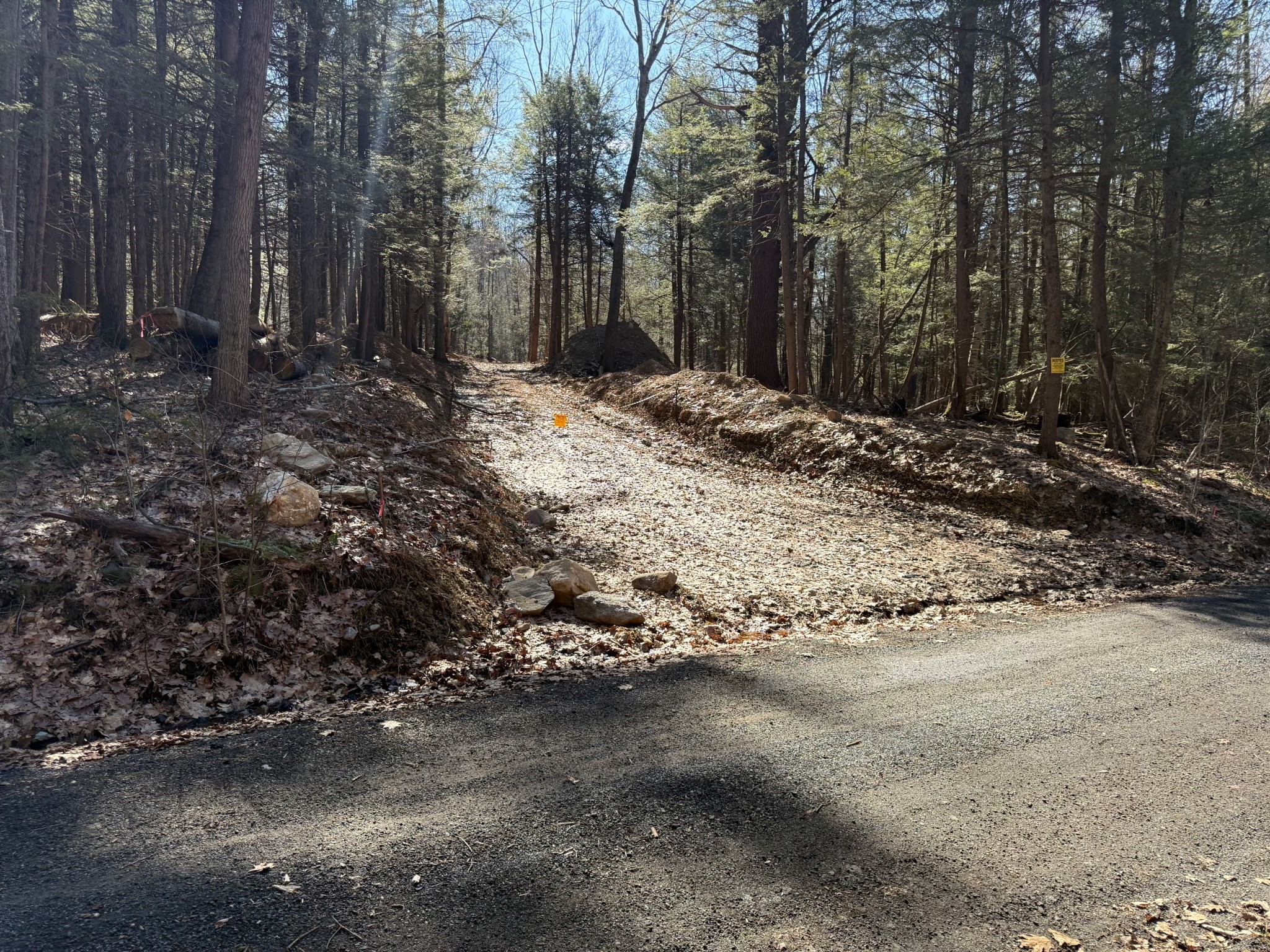 0 Old Chester Rd (rear), Blandford, MA 01008