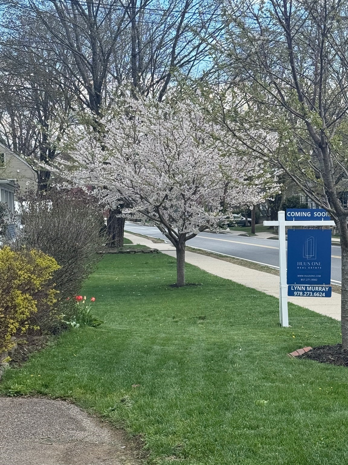 22 South Street, Medfield, MA 02052