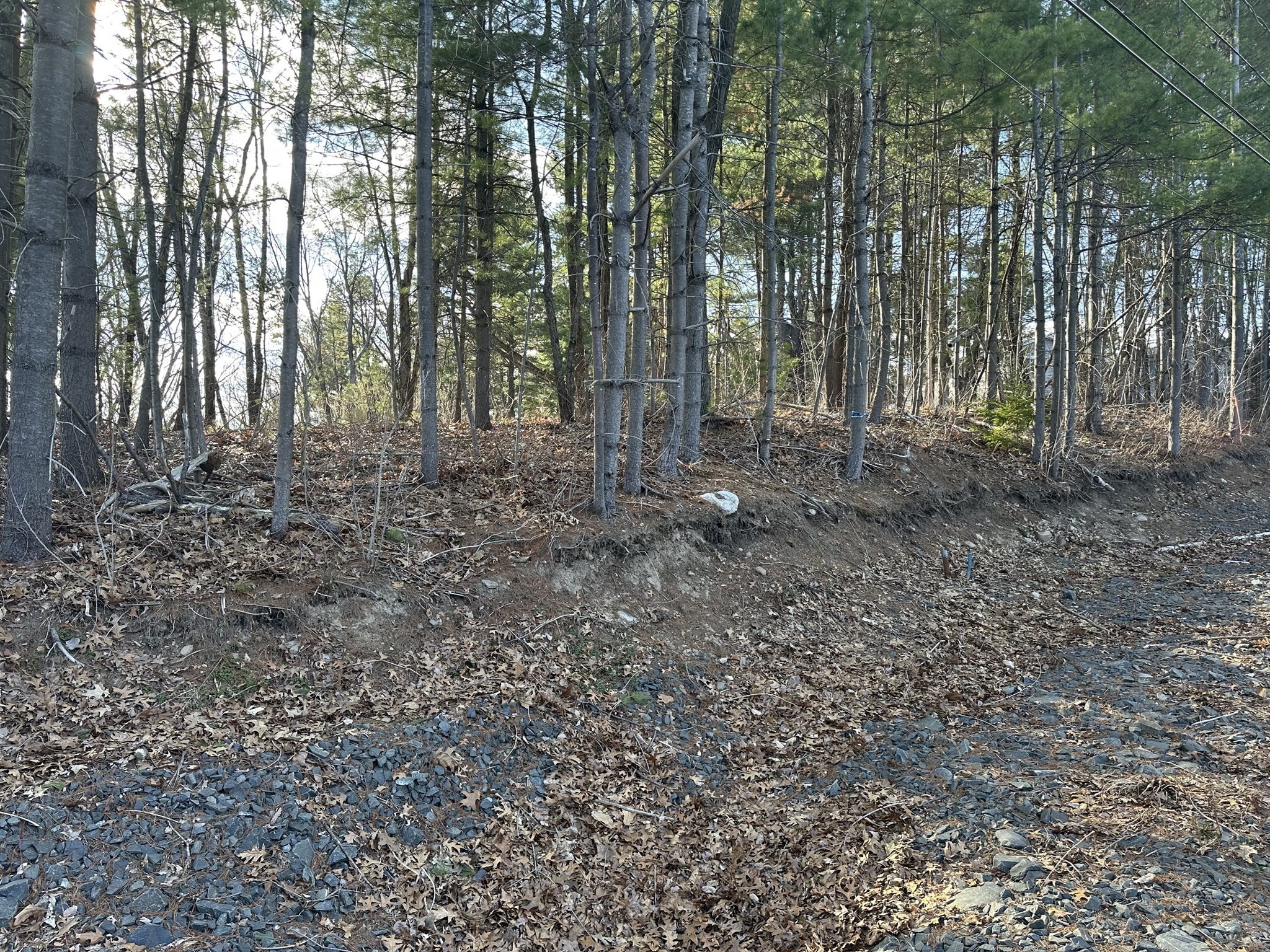 52 Bayberry Lane, Westfield, MA 01085