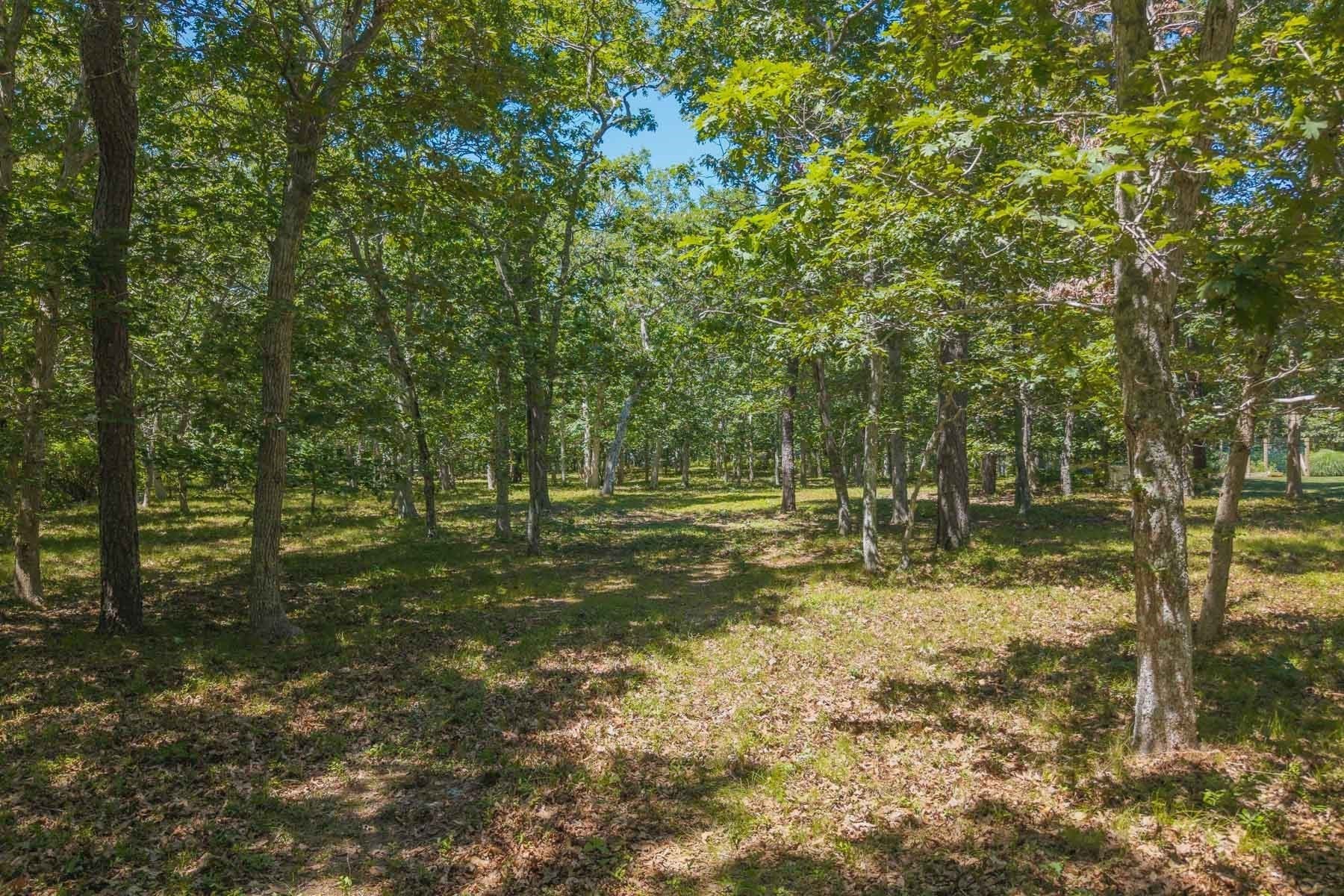 4 Wilsons Lane, Edgartown, MA 02539