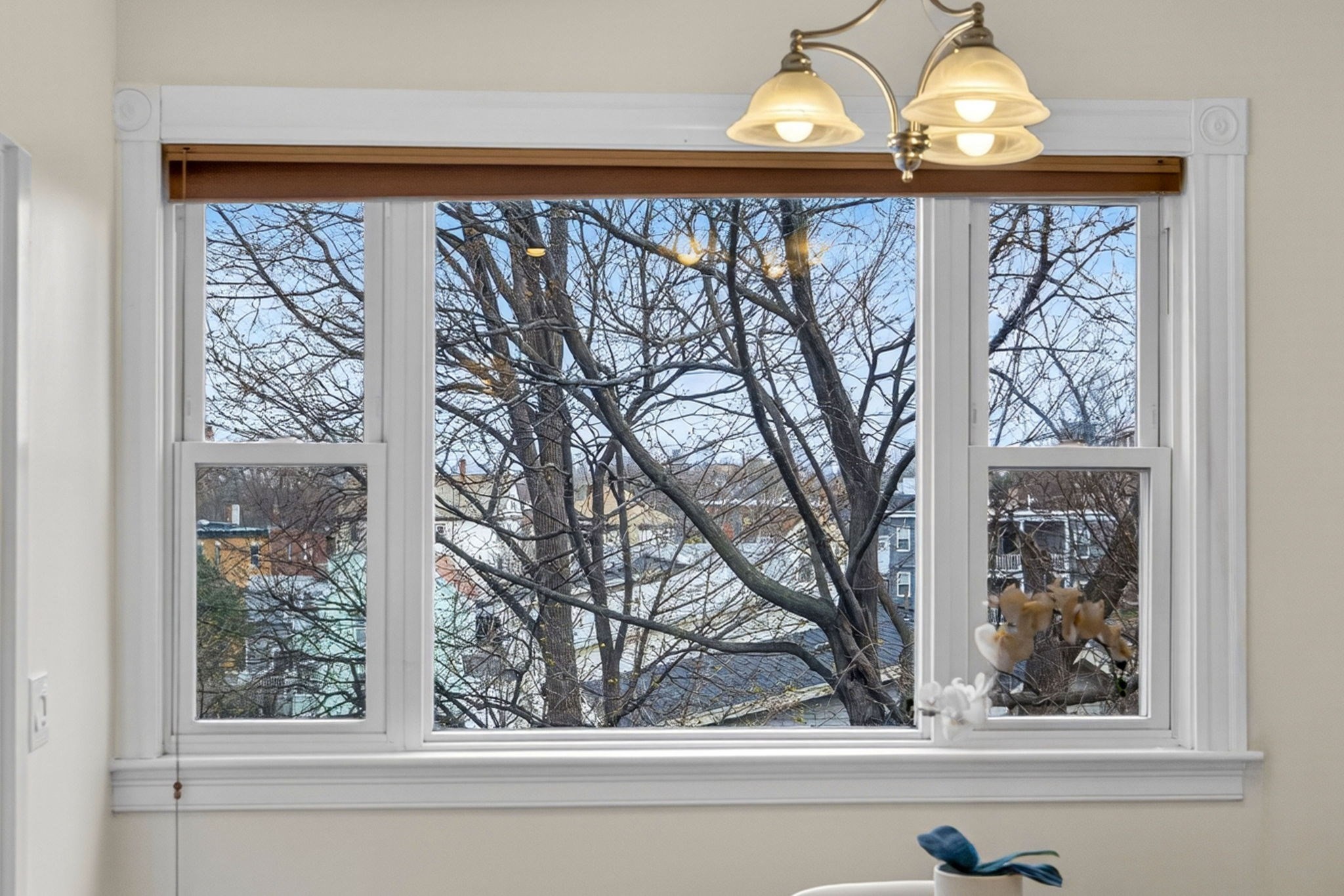 60 Iffley Rd Unit 2, Jamaica Plain, Boston, MA 02130 - Image 18