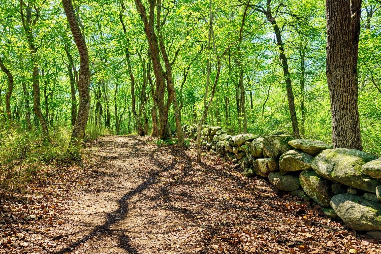 0 North Road/belhaven Way, Chilmark, MA 02535