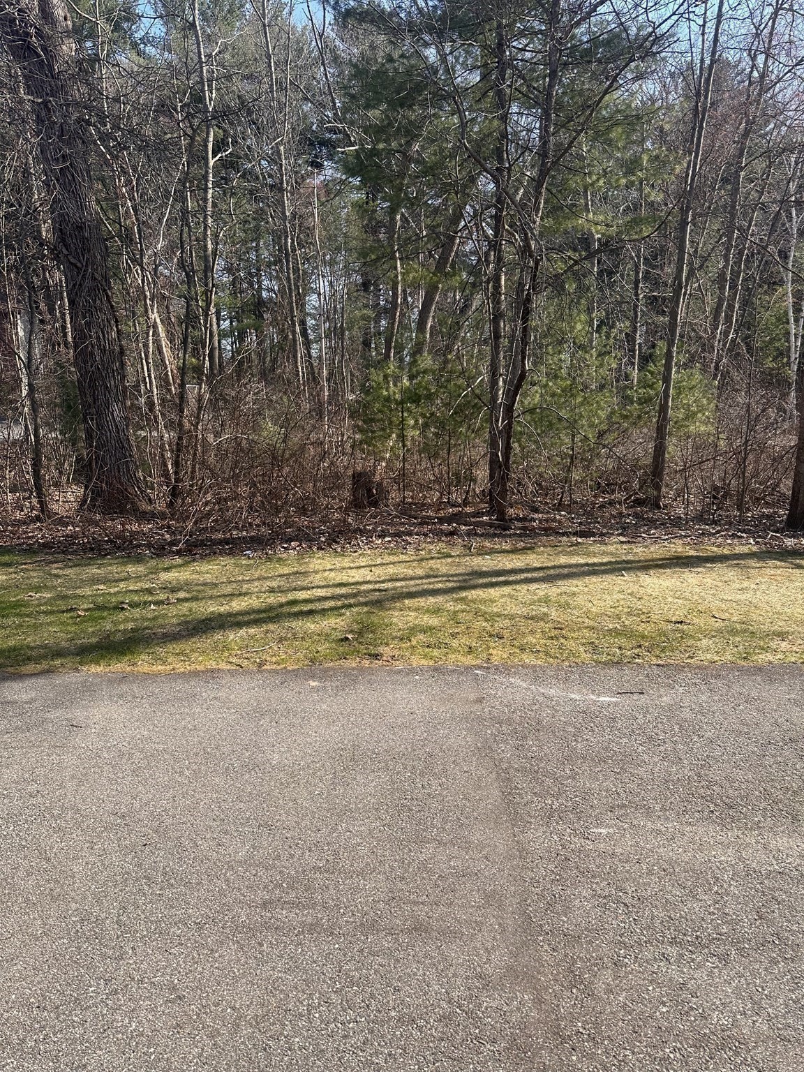 1600 Skyline Dr Unit 2, Lowell, MA 01854