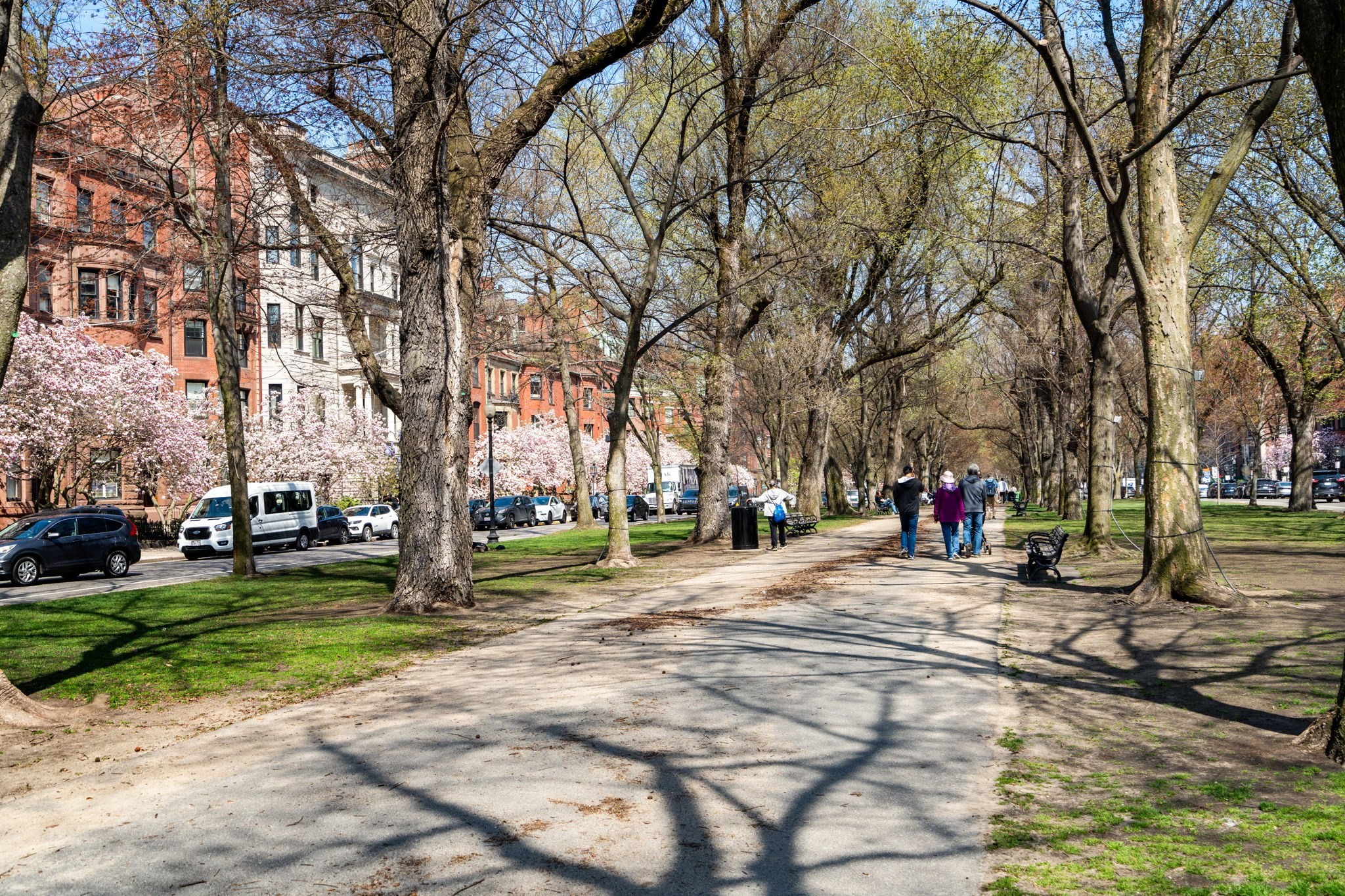 8 Fairfield Street, Back Bay, Boston, MA 02116 - Image 11